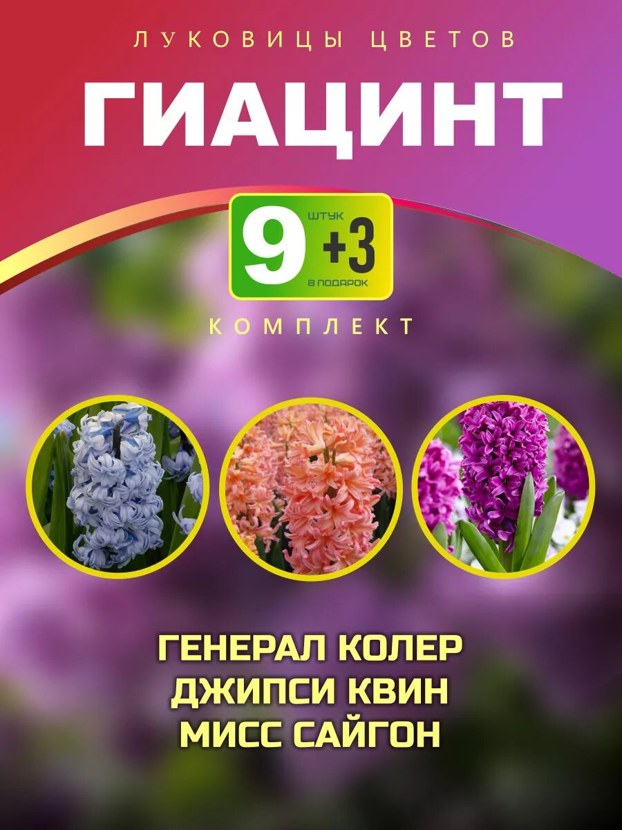 Комплект луковиц гиацинтов 12шт