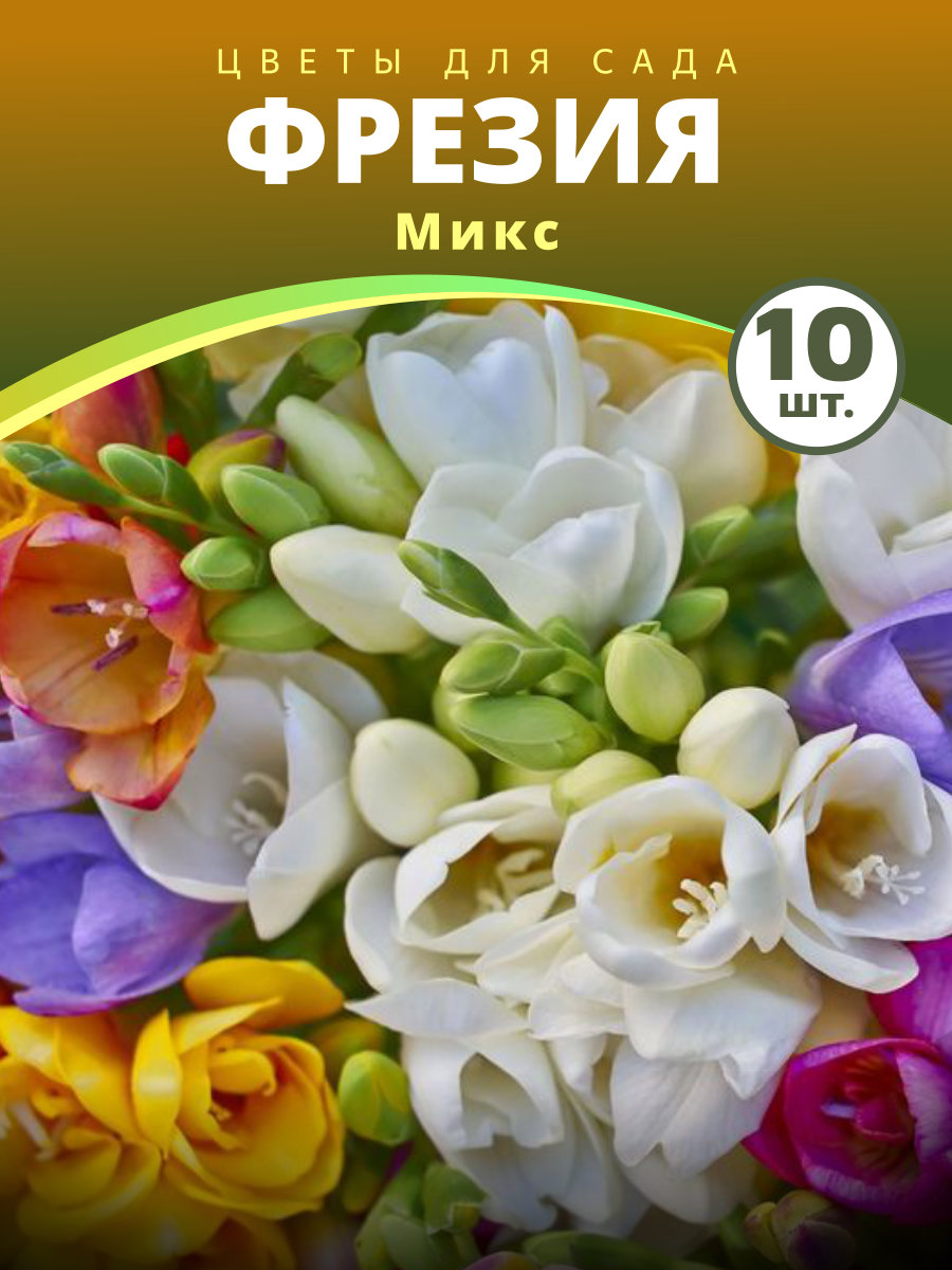 7-4.jpg Фрезия Микс — изображение 1
