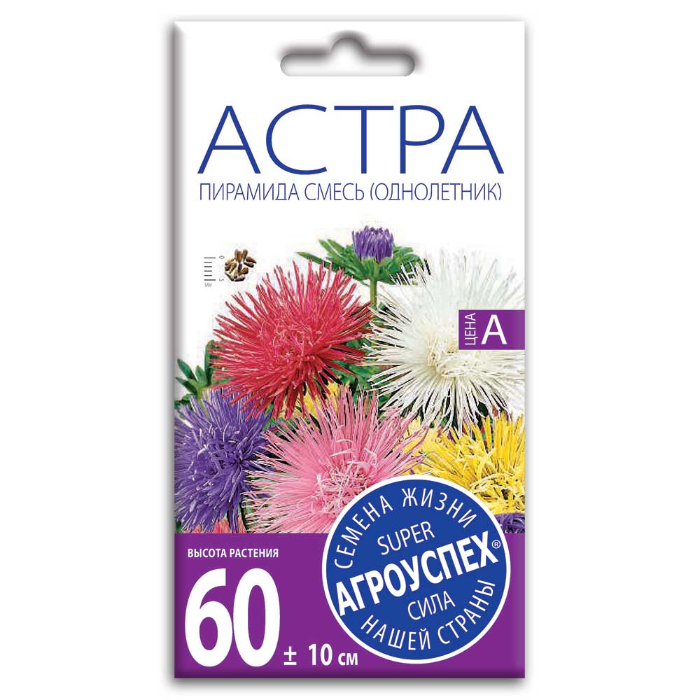 Семена Астры " Пирамида" смесь ( однолетник)