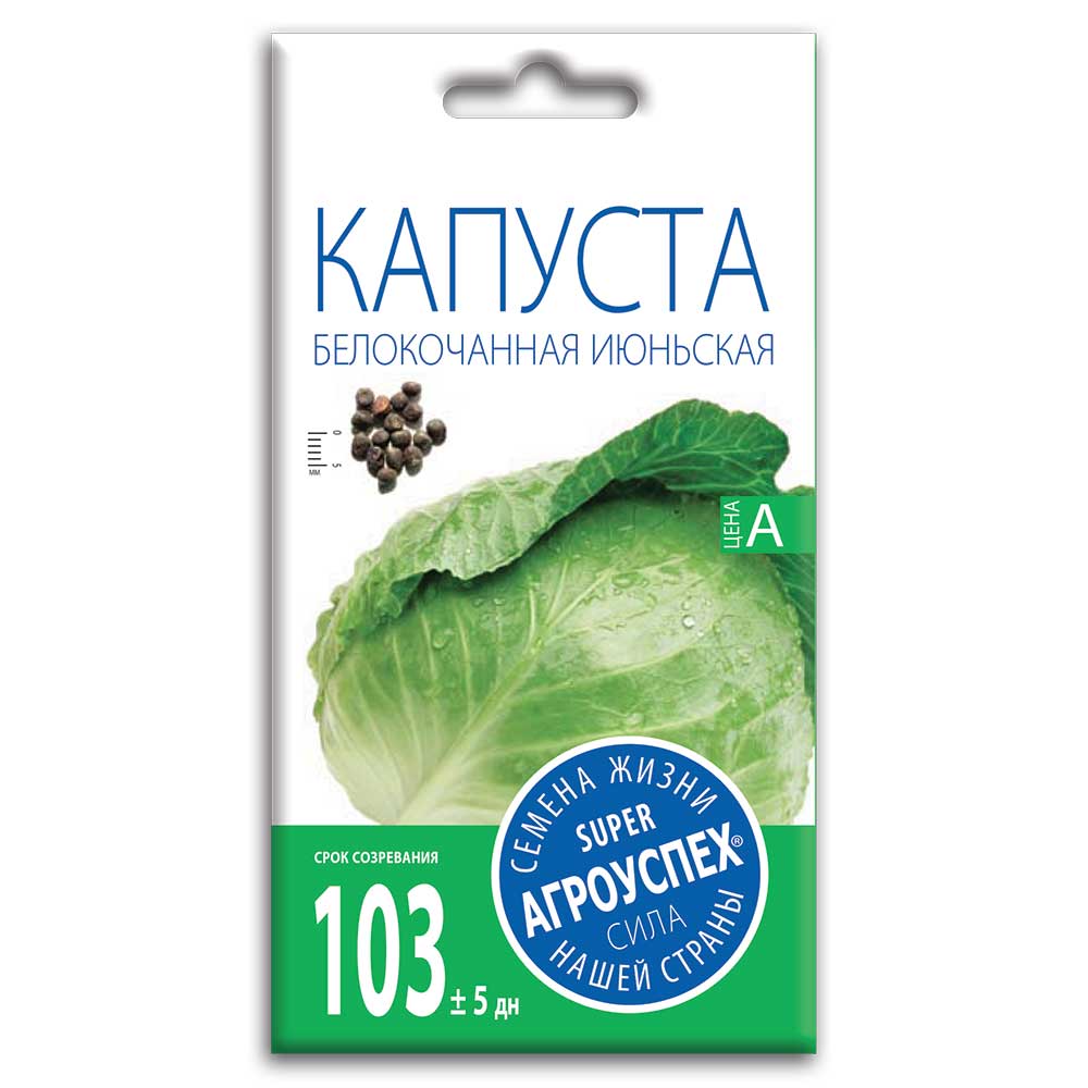 Семена Капусты " Белокочанная июньская"
