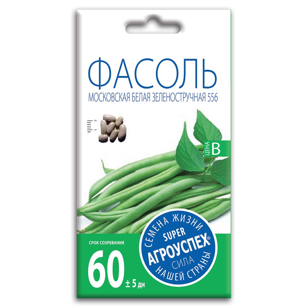 fasol1.jpg Семена Фасоли " Московская Белая Зеленостручная 556" — изображение 1