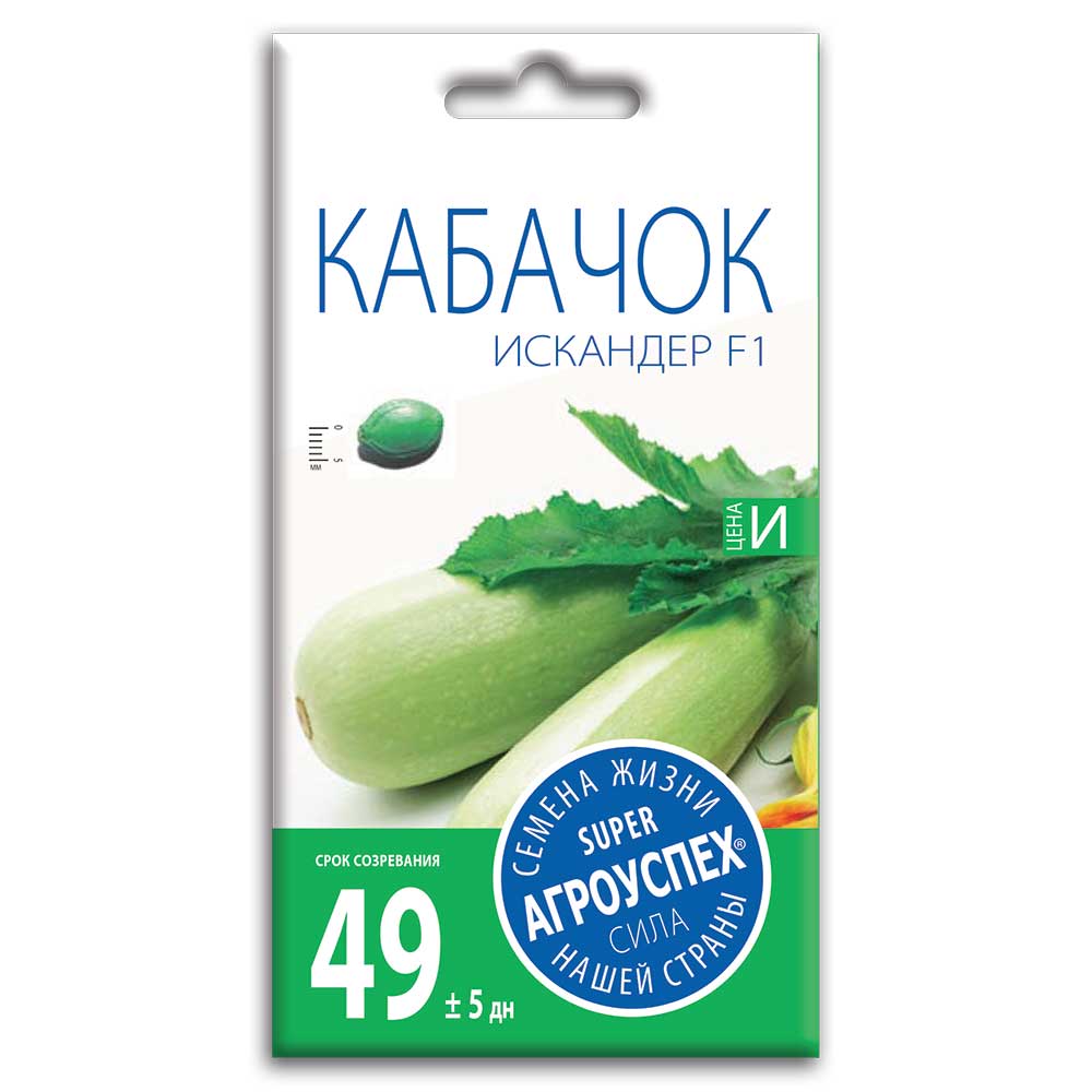 Семена Кабачка "Искандер" F1