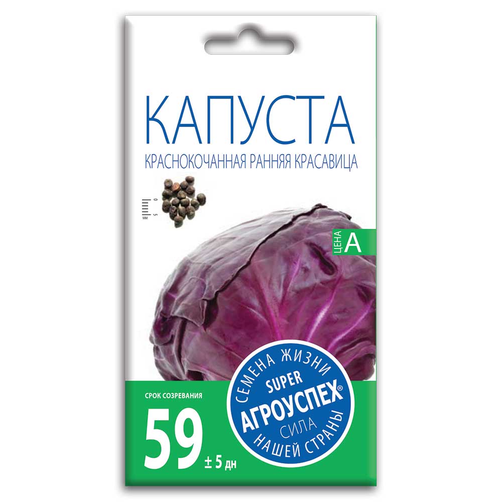 kapusta_krasnokochannaya_1.jpg Семена Капусты "Краснокочанная Ранняя Красавица" — изображение 1