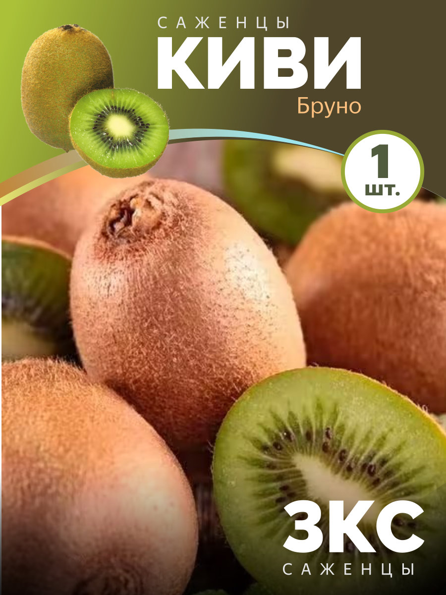 Киви Бруно