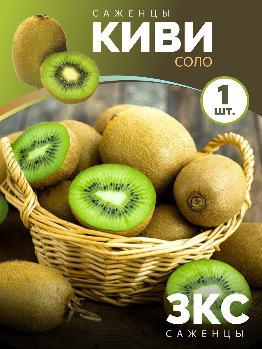 Киви Соло
