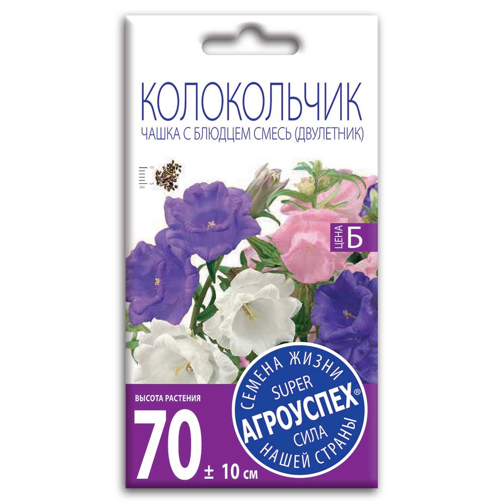kolokolchik-chashka1.jpg Колокольчик " Чашка с Блюдцем " смесь(двулетник) — изображение 1