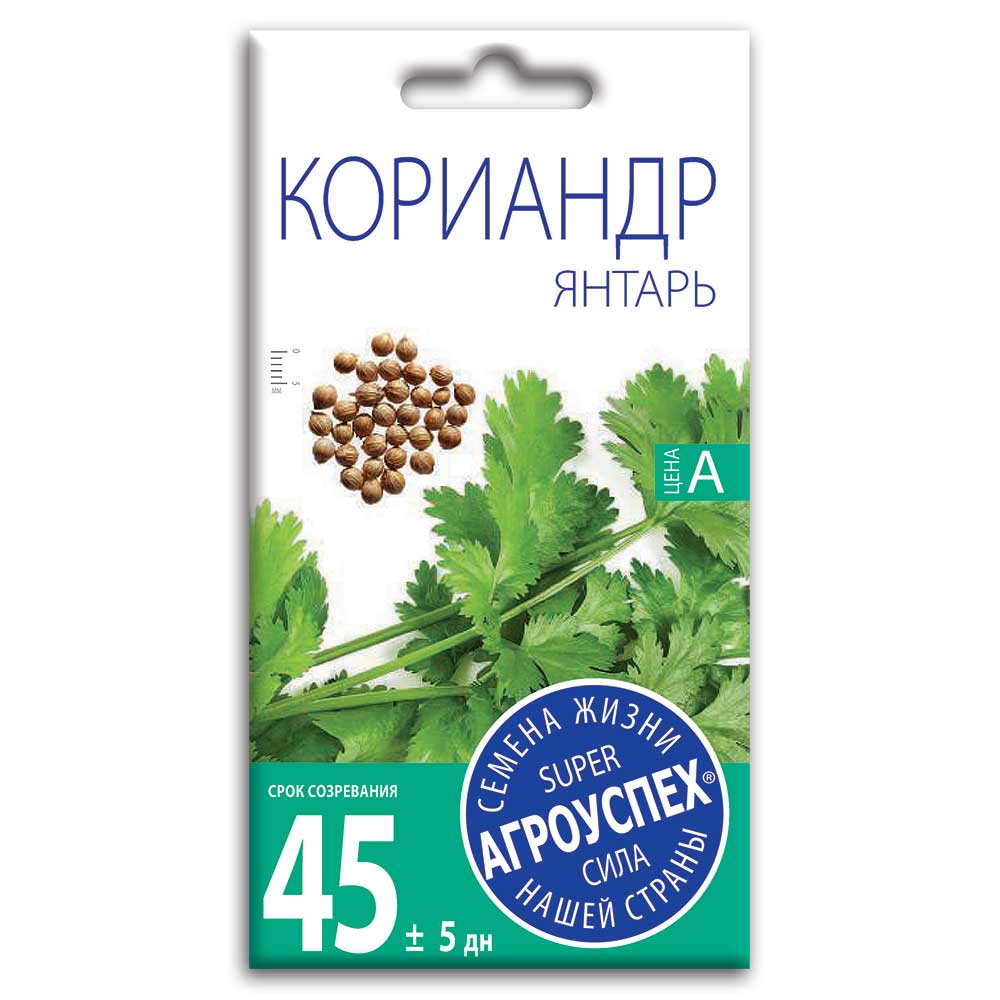 Семена Кориандра "Янтарь"