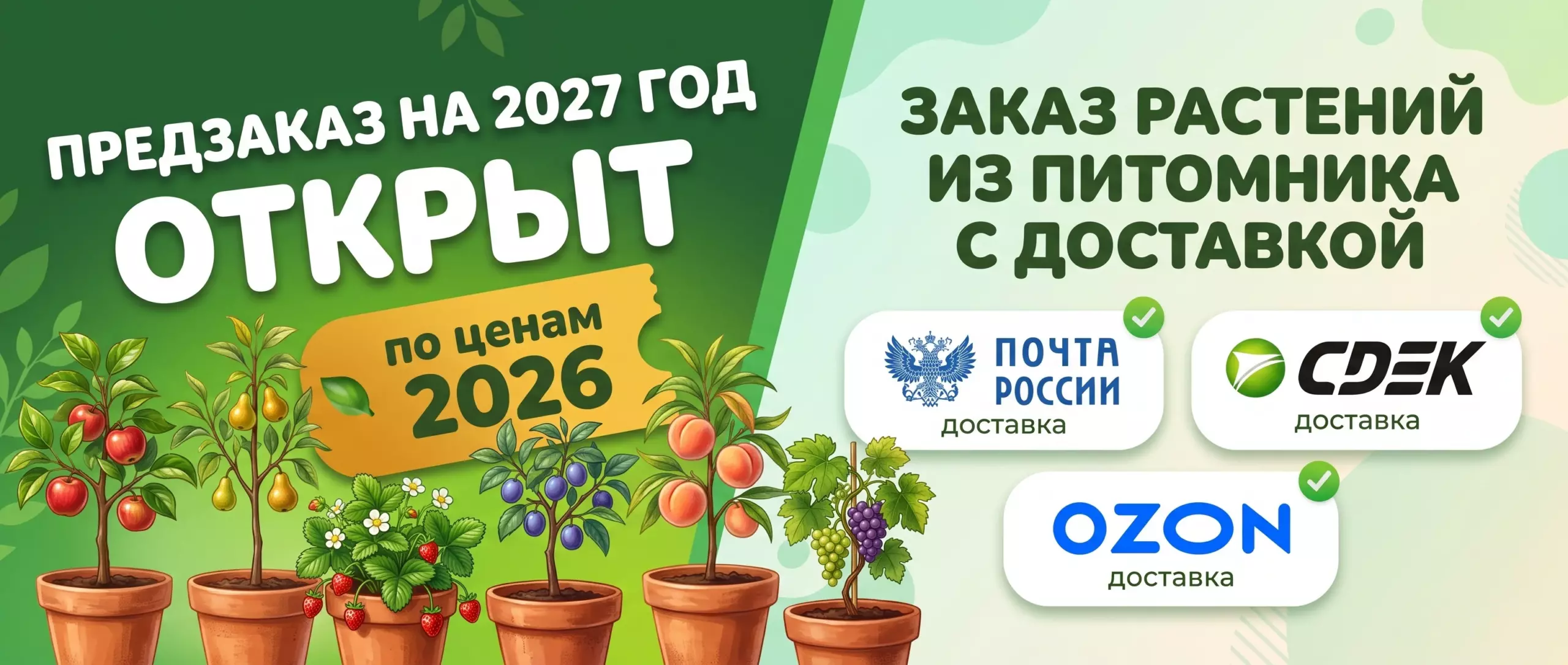 Предзаказ саженцев из питомника в Краснодаре